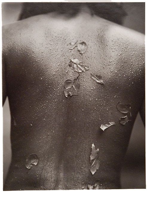 Back with Leaves #2, 1996, toned gelatin silver print,11 1/8 x 8 1/2"