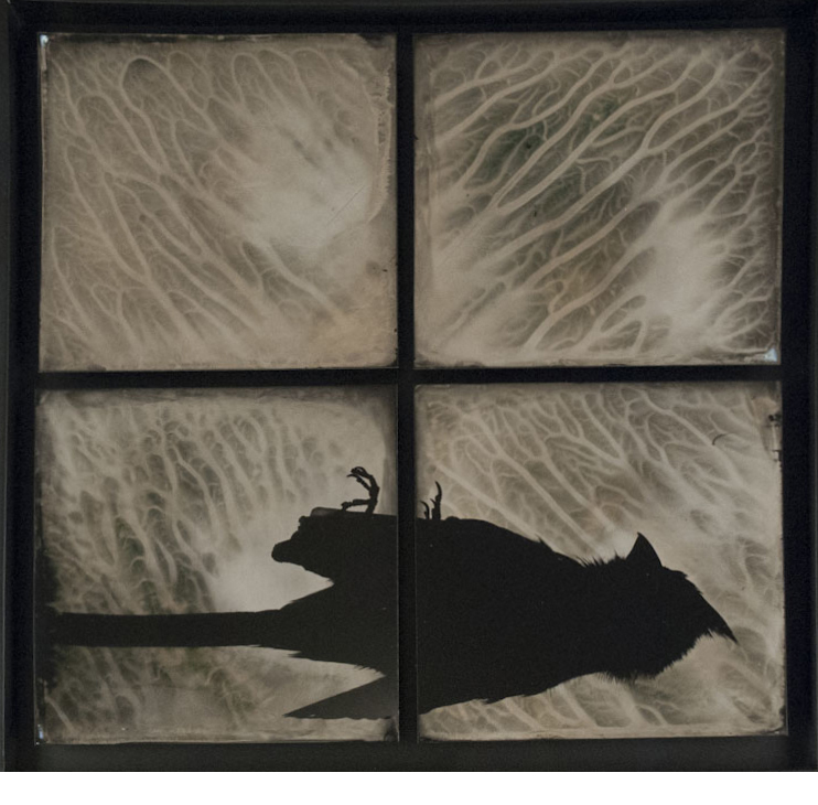 S. Gayle Stevens, Perchance to Dream, 2011, Collodion on alluminum